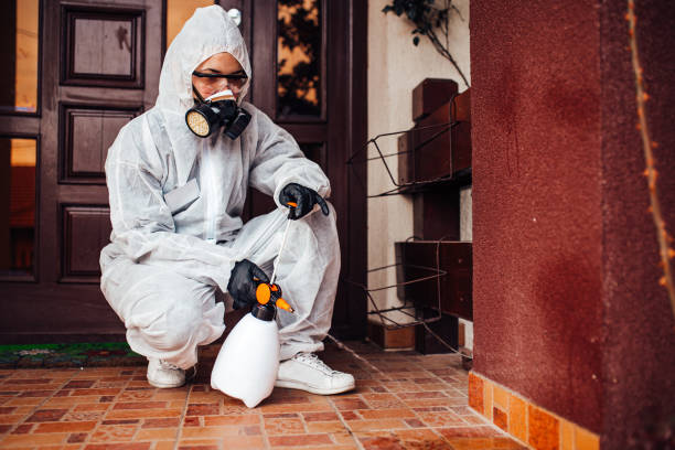 Reliable Bed Bug Control contractor in Colwich, KS by Nex Pest Control